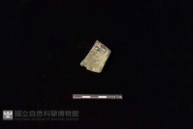 陶片藏品圖，第2張