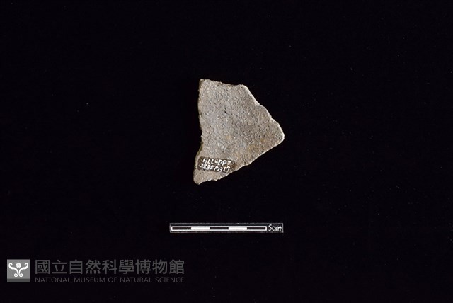 陶片藏品圖，第2張