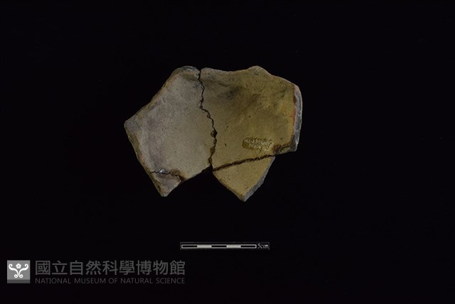 陶罐藏品圖，第2張