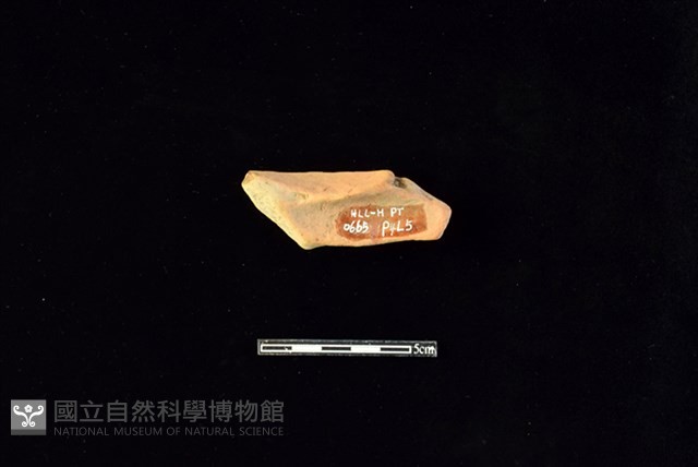 陶片藏品圖，第2張