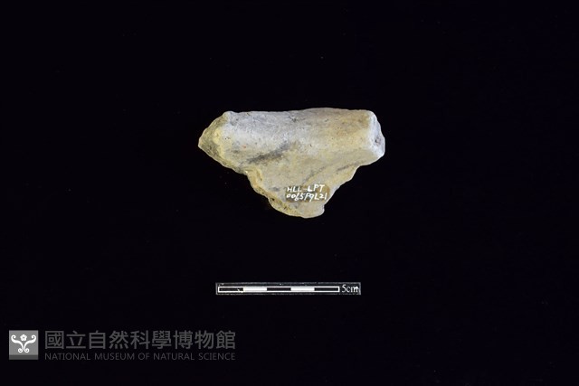 陶片藏品圖，第2張