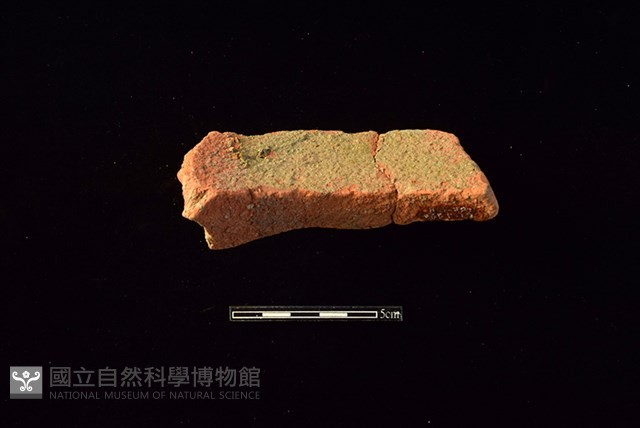 陶罐藏品圖，第2張