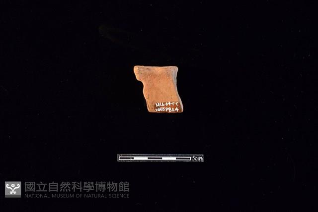 陶片藏品圖，第2張