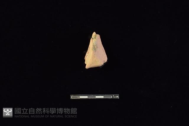 連杯形器藏品圖，第2張