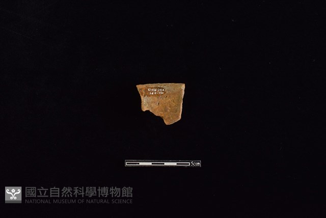 陶片藏品圖，第2張