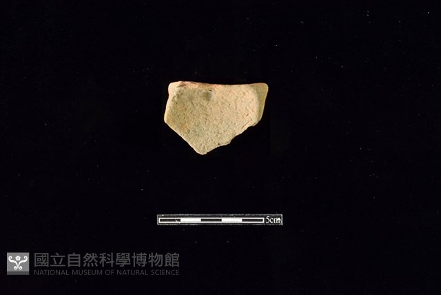 陶片藏品圖，第2張