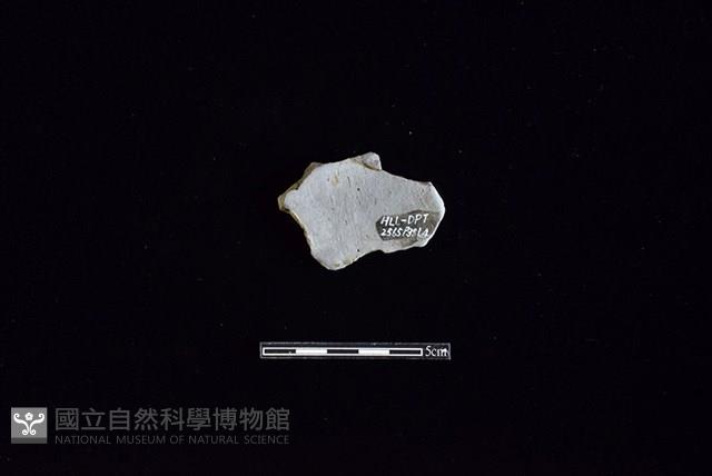 陶片藏品圖，第2張