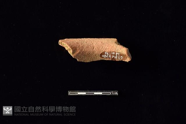 陶罐藏品圖，第2張