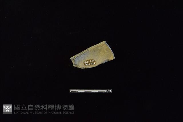 陶片藏品圖，第2張