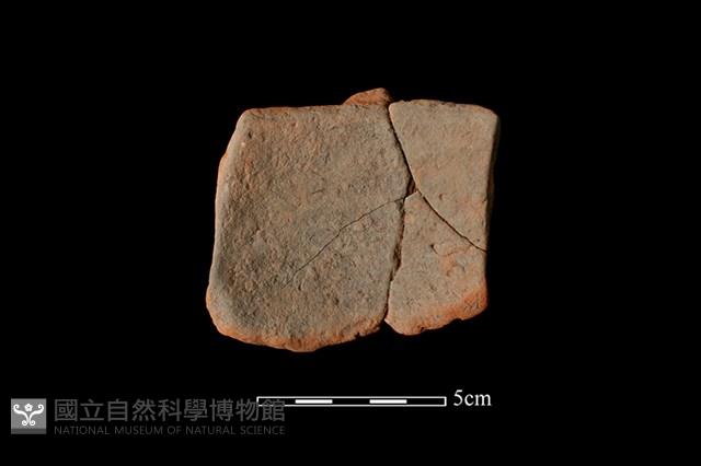 陶片藏品圖，第2張