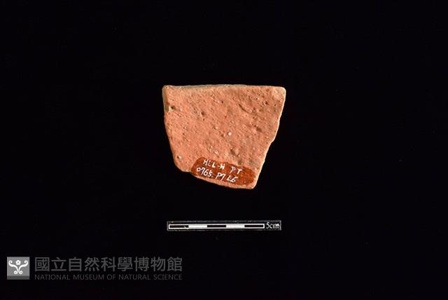 Accession Number:HLL-H PT0765 Collection Image, Figure 2, Total 2 Figures