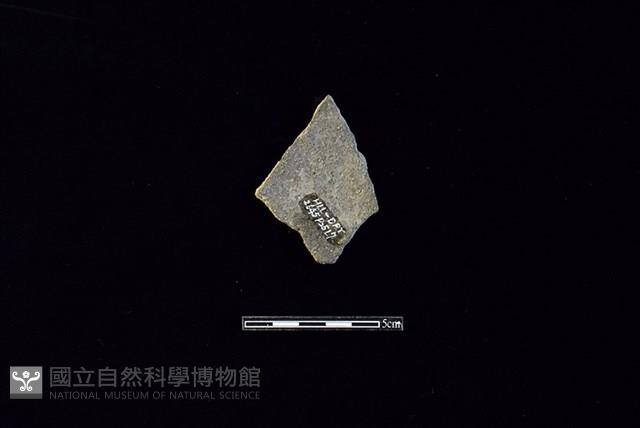 陶片藏品圖，第2張