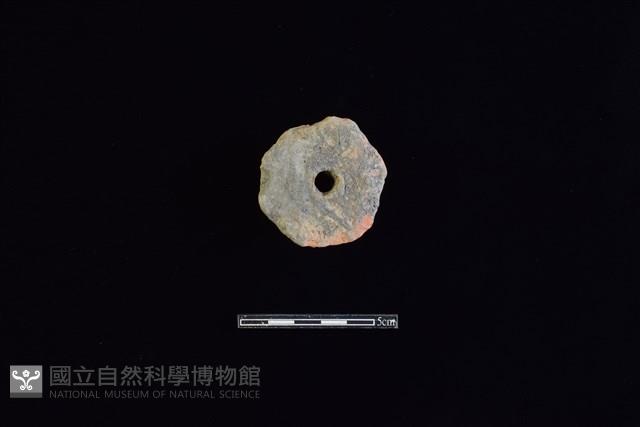 Accession Number:HLL-L-PT0245 Collection Image, Figure 2, Total 2 Figures