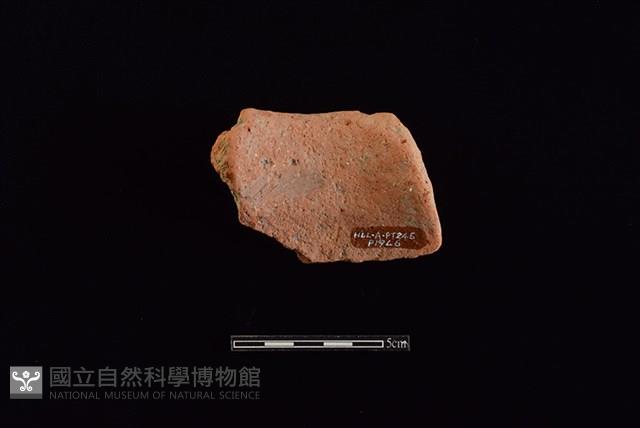 陶罐藏品圖，第2張