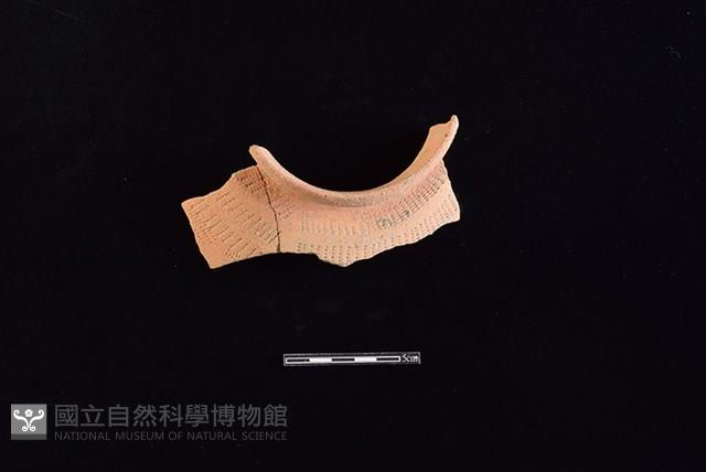 陶罐藏品圖，第2張