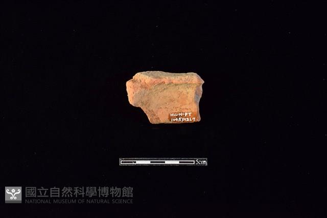 陶片藏品圖，第2張