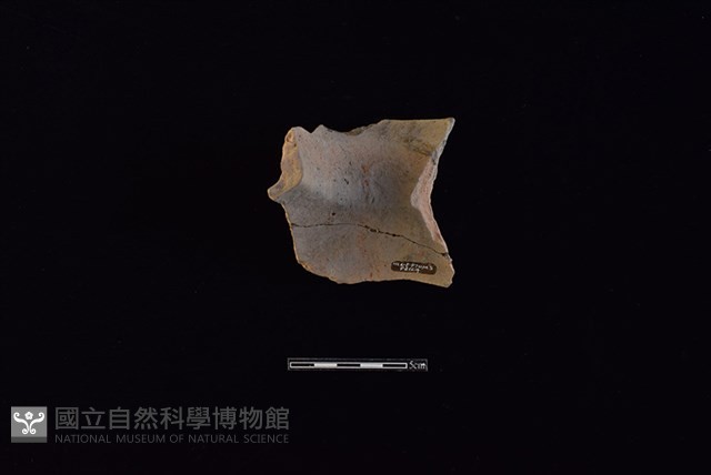 陶罐藏品圖，第2張
