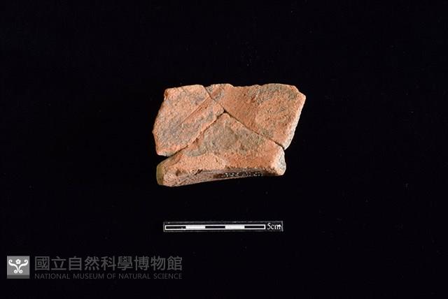 陶罐藏品圖，第2張