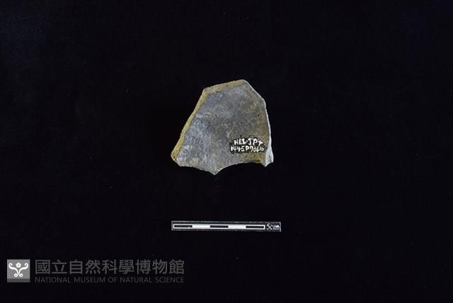 陶片藏品圖，第2張