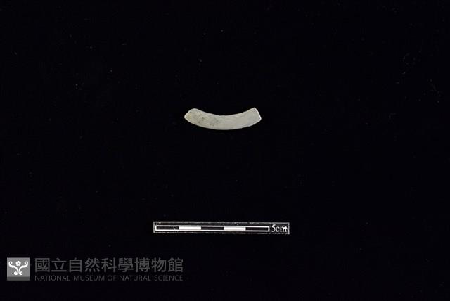 陶環藏品圖，第2張