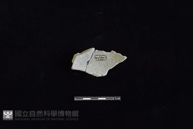 陶片藏品圖，第2張