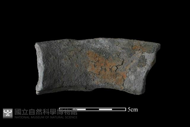 陶罐藏品圖，第2張