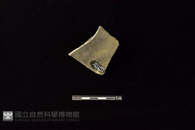 陶片藏品圖，第2張