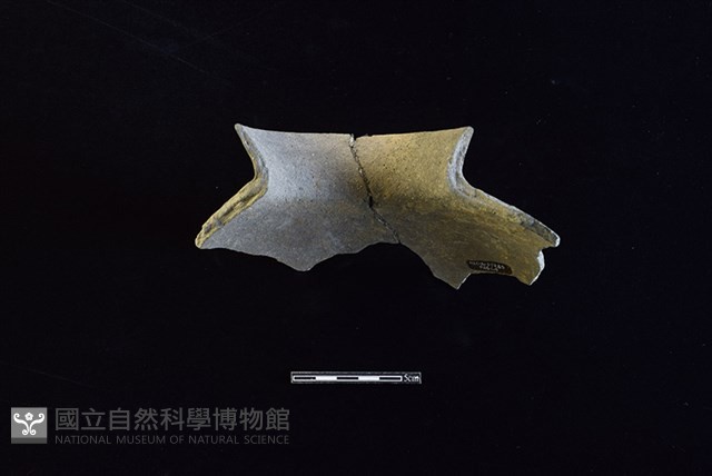 陶罐藏品圖，第2張