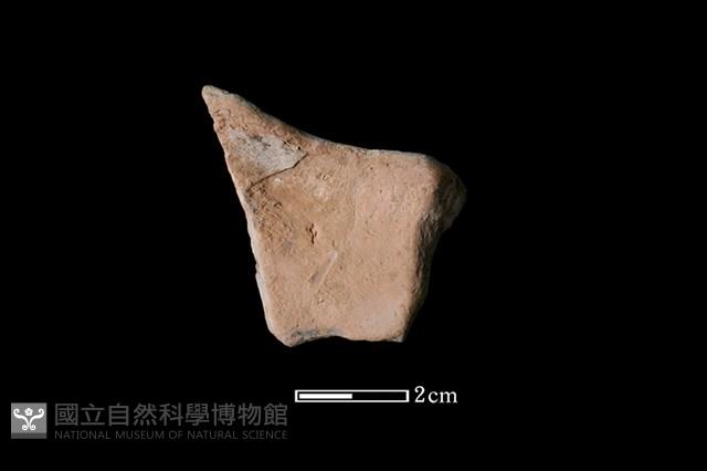 陶片藏品圖，第2張