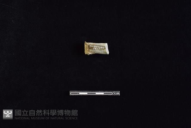 陶把藏品圖，第2張