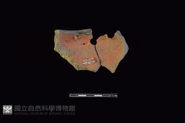 陶片藏品圖，第2張