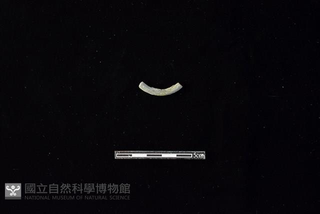 陶環藏品圖，第2張