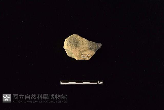 陶蓋鈕藏品圖，第2張