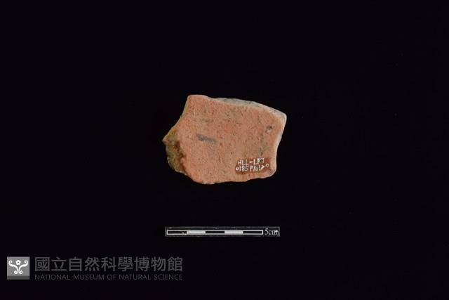 陶片藏品圖，第2張