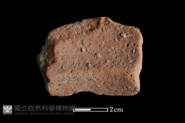 陶罐藏品圖，第2張