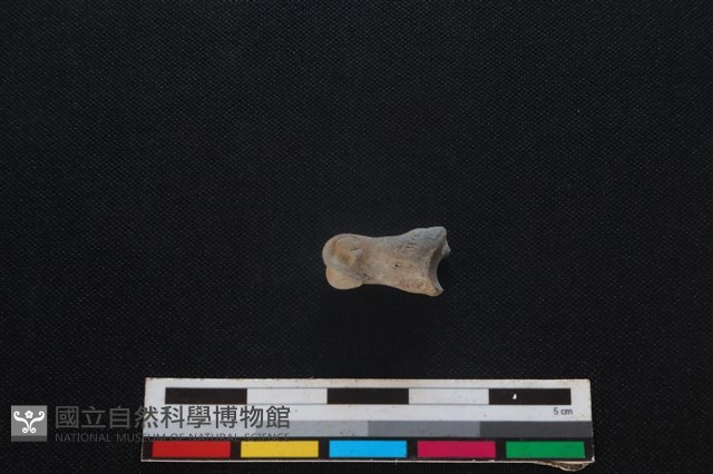 山羌骨藏品圖，第2張