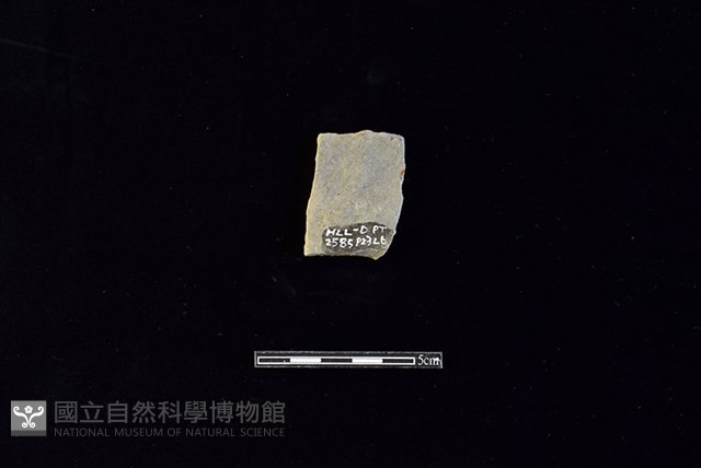 陶片藏品圖，第2張