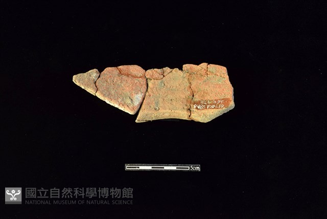 連杯形器藏品圖，第2張