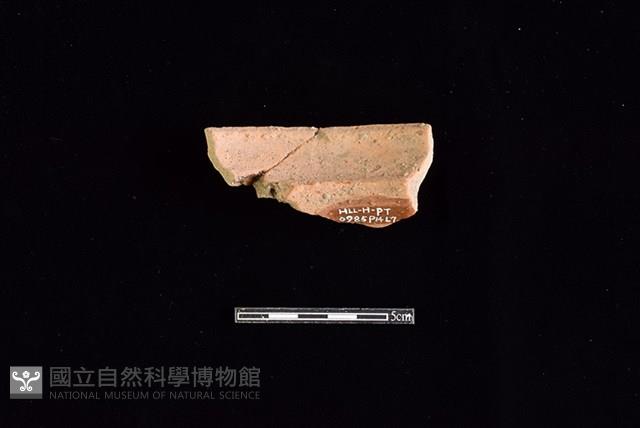 陶罐藏品圖，第2張