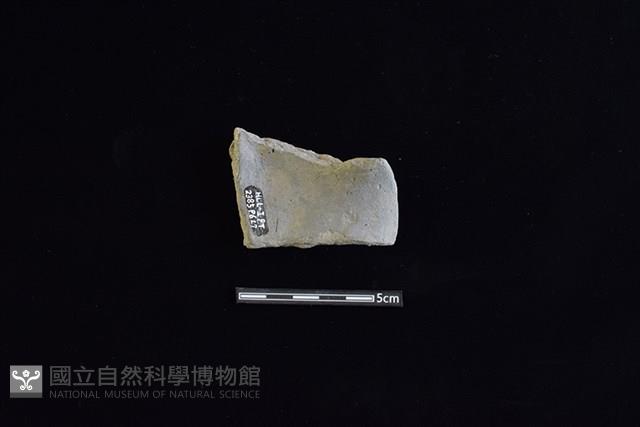 陶片藏品圖，第2張