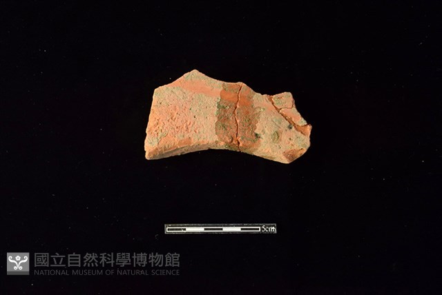 連杯形器藏品圖，第2張