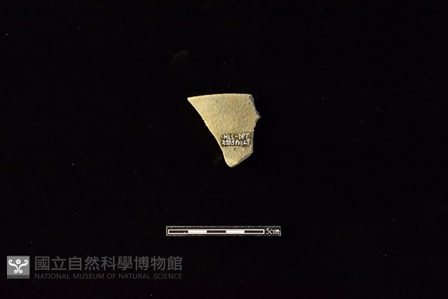 陶罐藏品圖，第2張
