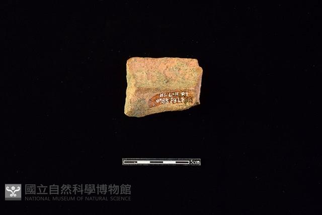 Accession Number:HLL-H PT0785 Collection Image, Figure 2, Total 2 Figures