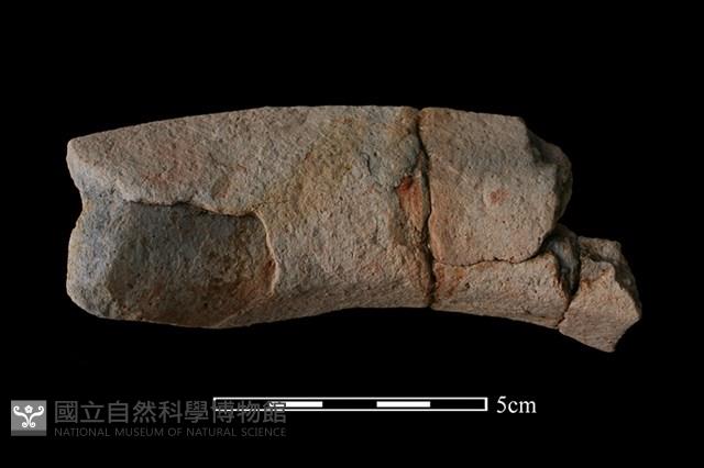 陶罐藏品圖，第2張