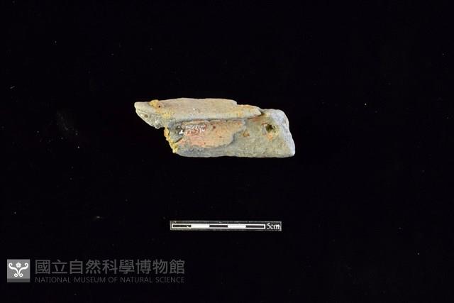 陶片藏品圖，第2張