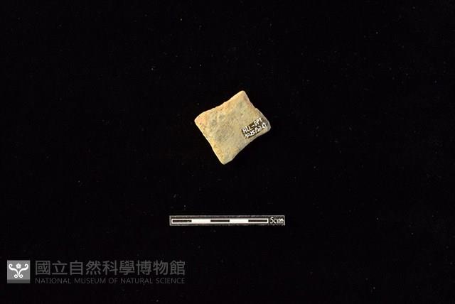 陶片藏品圖，第2張