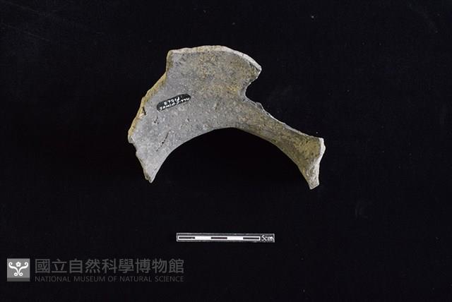 陶罐藏品圖，第2張