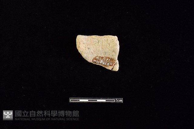 陶罐藏品圖，第2張