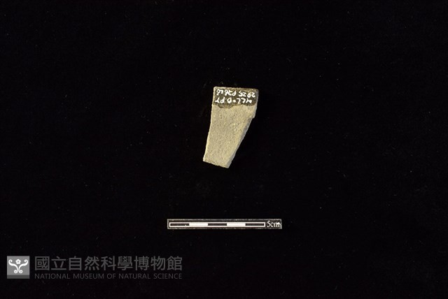 陶片藏品圖，第2張