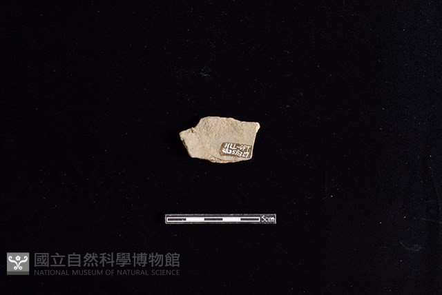 陶片藏品圖，第2張